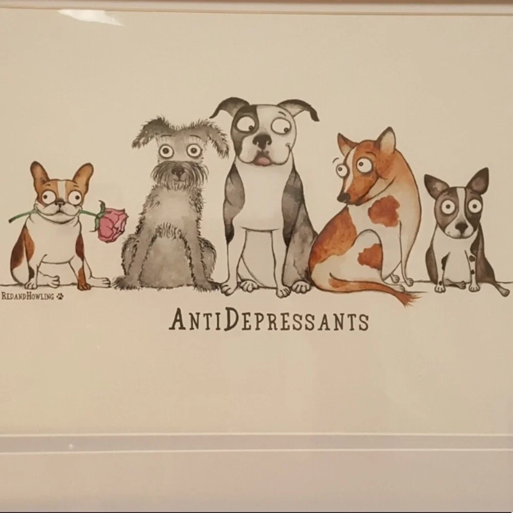 PLEASE LIKE NEW GAME! - Picture 12 of 12